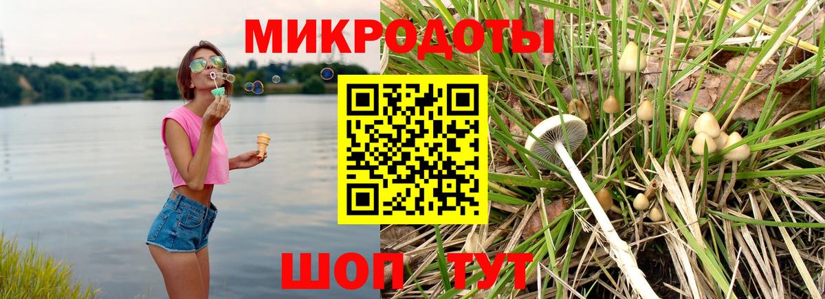 Мончегорск  Псилоцибиновые грибы GOLDEN TEACHER  Вход с VPN 
